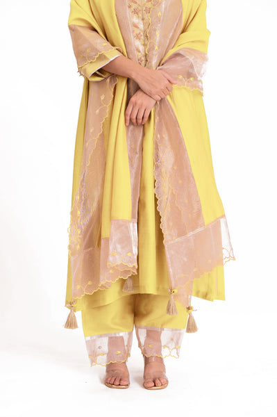 LILA - Pastel Yellow - Banarasi Yoke Kurta Set