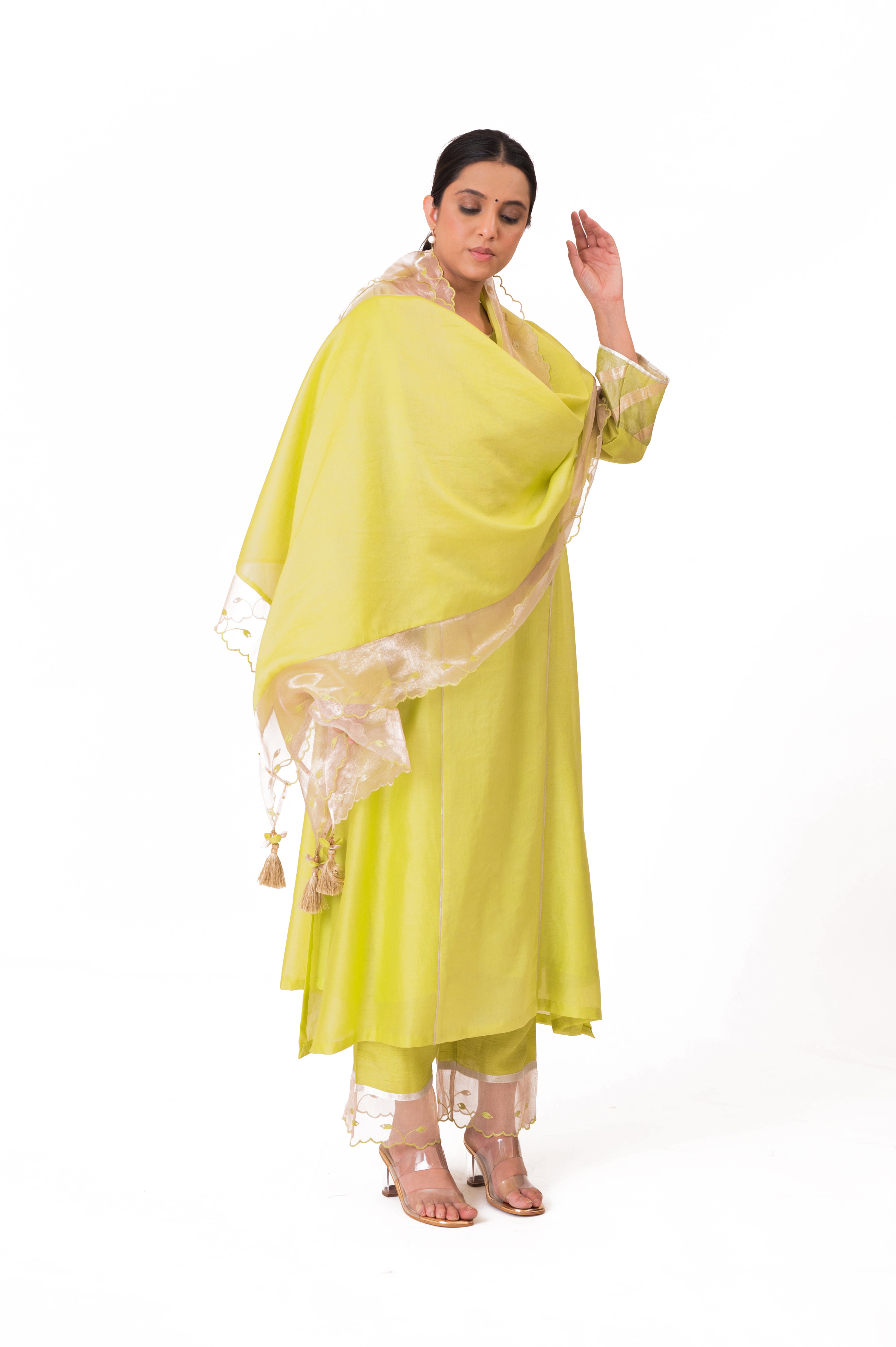 LILA - Lime Green - Banarasi Yoke Kurta Set