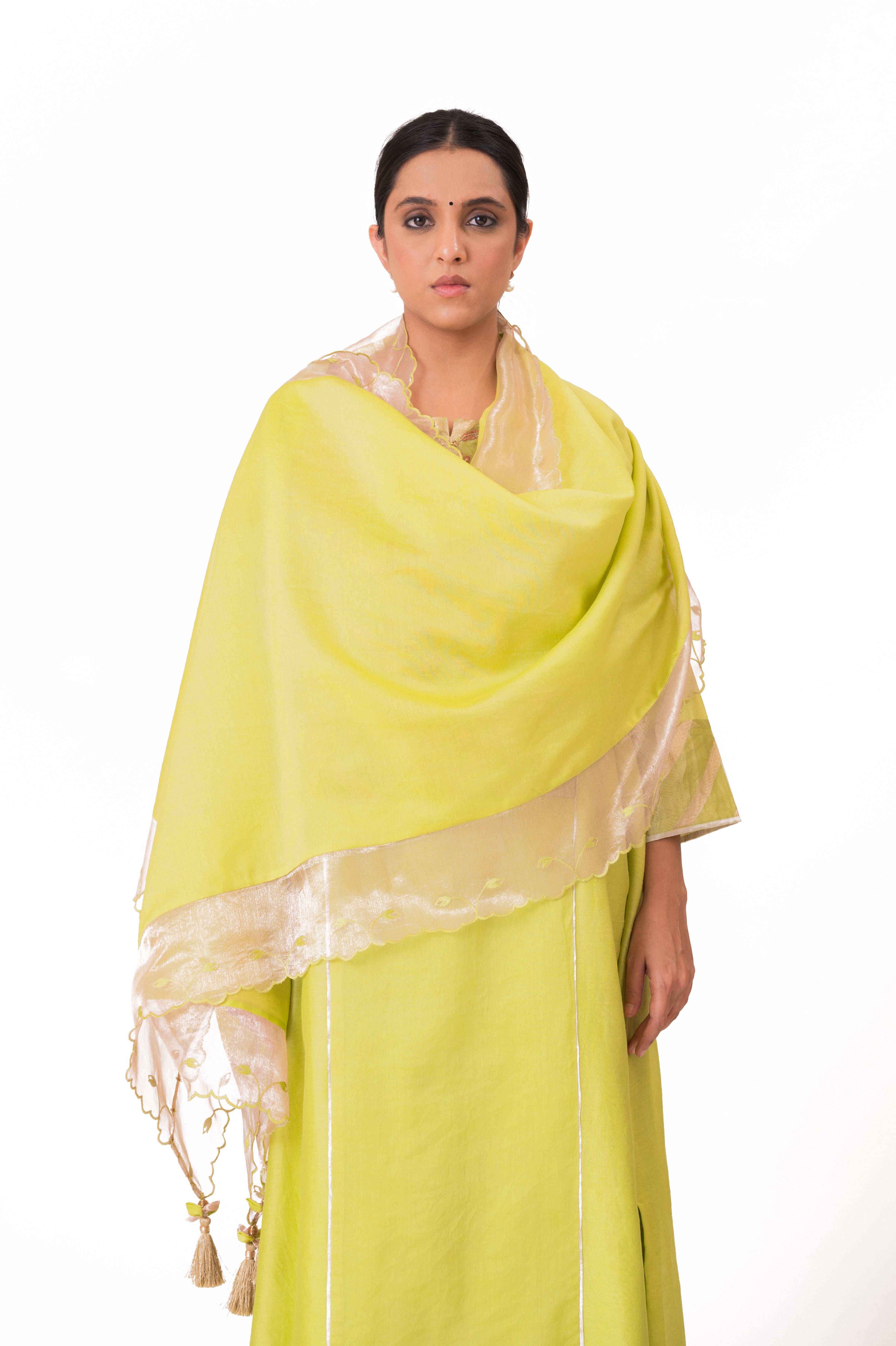 LILA - Lime Green - Banarasi Yoke Kurta Set