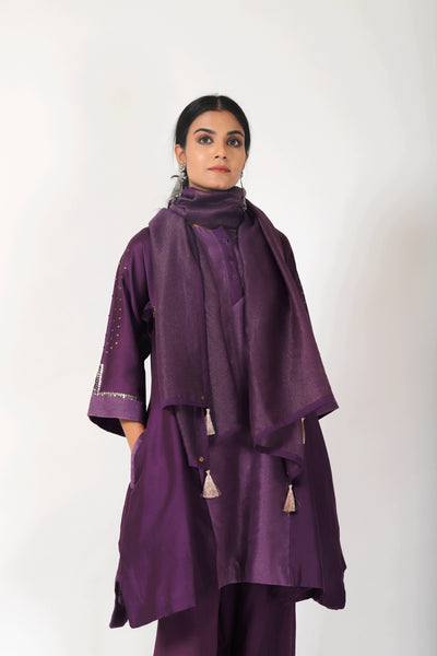 Byzantine Purple Tvaksati Panelled Tunic Set